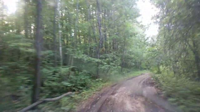 Тульские леса смотреть онлайн