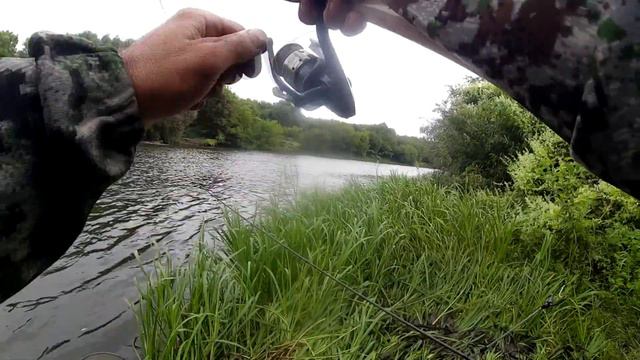 Поймали щуку на фидер! смотреть онлайн