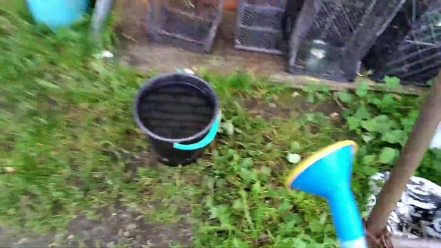 Как полить ведро с водой из лейки? Сложный вопрос! Но я справился! смотреть онлайн