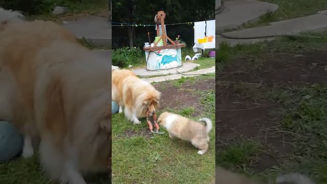 Игры на даче смотреть онлайн