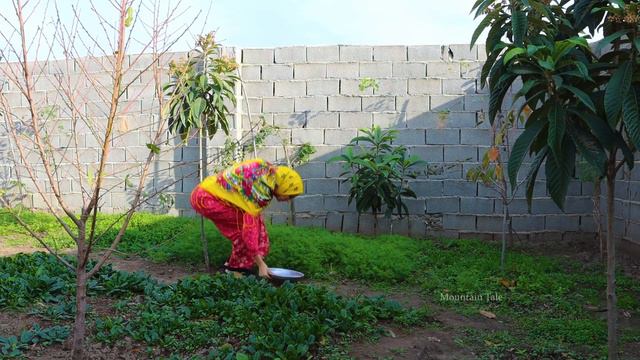 Village Life In The Mountains Of Iran : Morning To Evening Routine