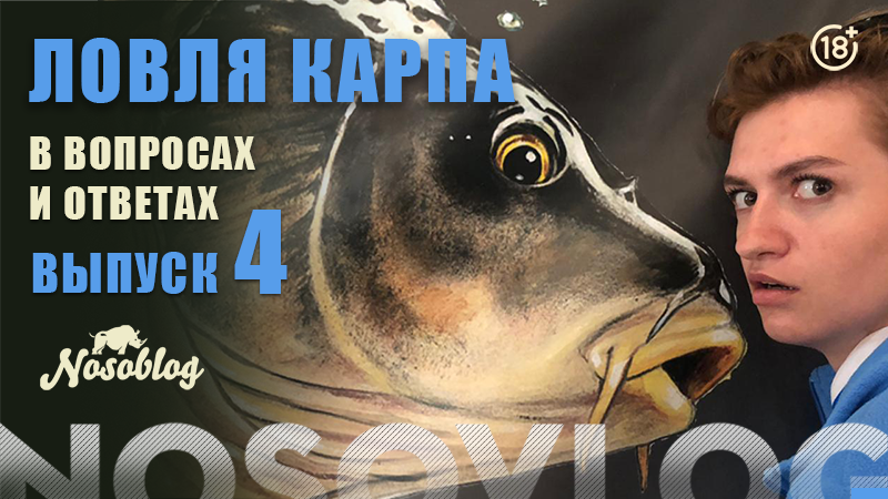 Карпфишинг в вопросах и ответах, выпуск 4, Колесников А. смотреть онлайн