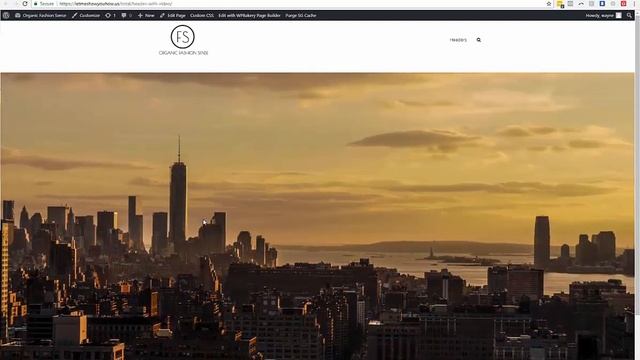 How To Add A Video Background To Your WordPress Website | Total Theme: By WPExplorer смотреть онлайн