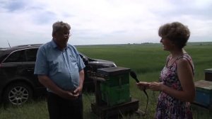 Пчеловодство в Сибири. Рапс как медонос. Ермолаев А.Н.