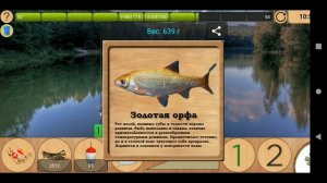 Как поймать Орфу на Лесном озере [АРХИВ] | Реальная Рыбалка