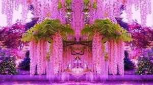 Сады Японии. Кавати Фудзи. Красивые сады мира.