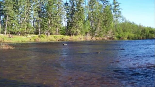 Фото и видео лоции таежных рек - Река Деп от Огорона до Рычково. Фотолоция. смотреть онлайн