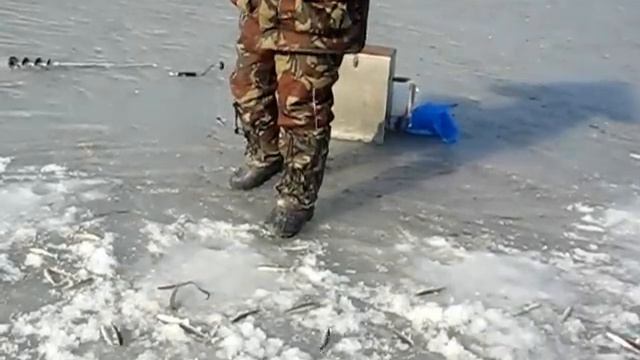 Smelt Ice Fishing at a depth of ten metres (Russia, Vladivostok) смотреть онлайн