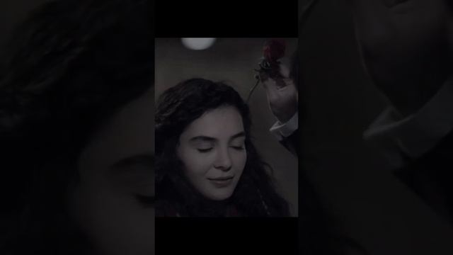 🕊️Люди выращивают в одном саду пять тысяч роз ‘ и не находят того, что ищут. смотреть онлайн