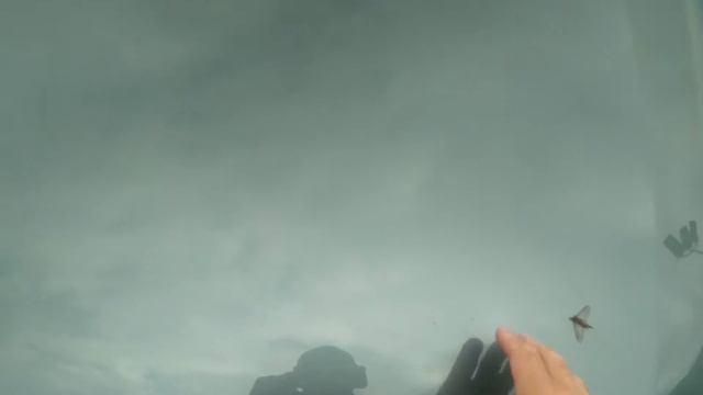 2001 Subaru Outback смотреть онлайн