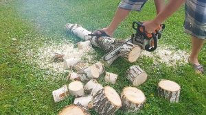 Я даже и подумать не мог что из берёзовых брёвен можно сделать красивый декоративный забор.