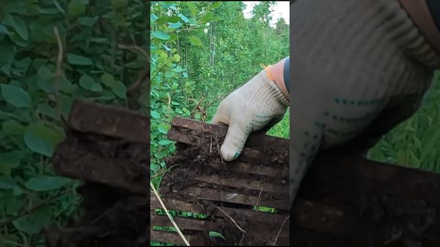 Металл у обочины #металлоискатель #коп металлолома #хобби смотреть онлайн