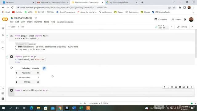 How to Create a Pie Chart in Python from MS Excel file|StatforLife| смотреть онлайн