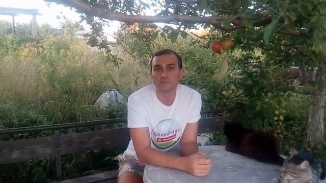 Кормлю птицу зерном и много ЯЯЯяя смотреть онлайн