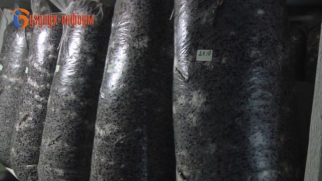 Заключила соцконтракт и открыла собственное дело! смотреть онлайн