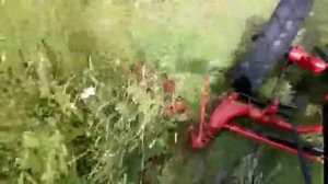 Конная косилка. Кошение луговой травы.