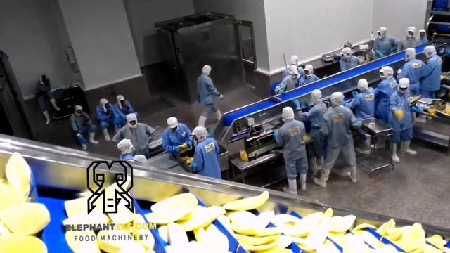 Морозильник с псевдоожиженным слоем линии по переработке замороженного манго смотреть онлайн