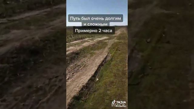 |• ТОП ТИК ТОК?| Tik Tok ?| Самое лучшее?•| смотреть онлайн