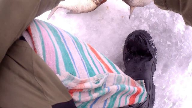 Подлещик на чертика и дубль на коромысло. Предновогодняя рыбалка. смотреть онлайн