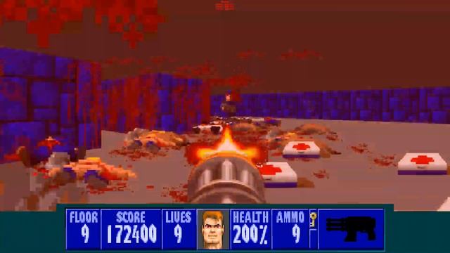 Wolfenstein 3D: The Final Battle! смотреть онлайн