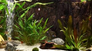 Расслабляющие звуки аквариумных рыбок - БЕЗ МУЗЫКИ