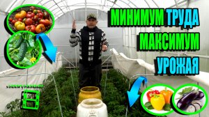 ТЕПЛИЧНАЯ ТЕХНОЛОГИЯ ДЛЯ САДОВОДА ВЫХОДНОГО ДНЯ (ПОМИДОРЫ, ОГУРЦЫ). ЭКОСАД (ОГОРОД) И ТЕПЛИЦА 22-23