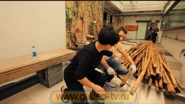 Галилео. Найди работу в Гонконге. Бамбуковый мастер смотреть онлайн