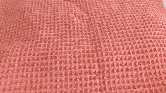 Интересные Факты о Животных