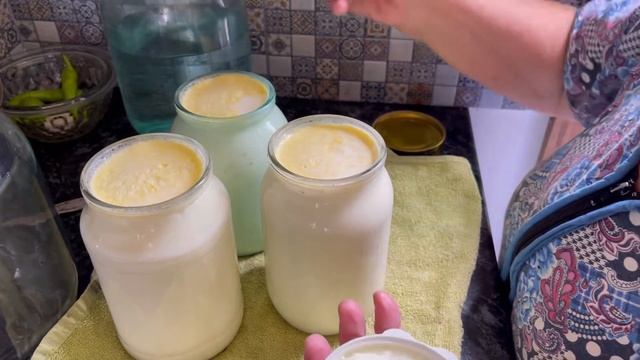 Рецепт мацони. Армянское блюдо. Бабушкин рецепт. смотреть онлайн