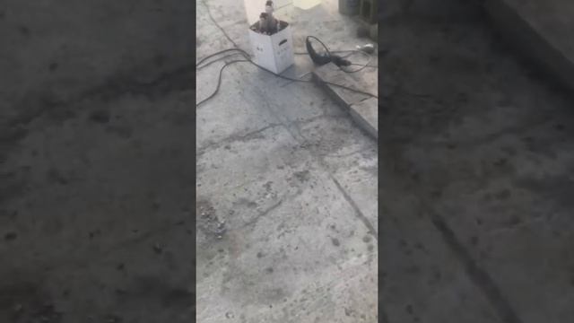 Монолитный дом из арболита  ,кладка второго этажа из арболитовых блоков .