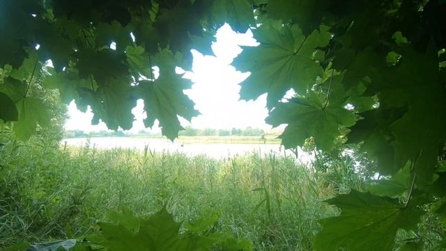 Чудесное утро на реке. смотреть онлайн