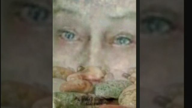 "Чайки над водой" смотреть онлайн