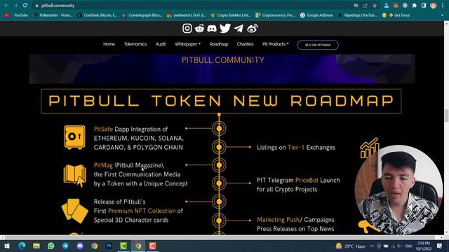 Pitbull Strong Meme Project Review | PitSwap PitChart PitPayment via Credit Card | 100X Token смотреть онлайн