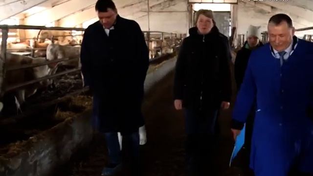 В Самарской области фермеры получают гранты на развитие хозяйств смотреть онлайн