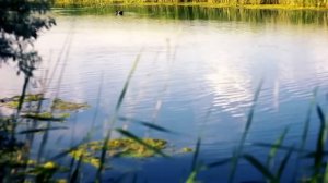 Ошо. РАЙ - ЭТО БЫТЬ САМИМ СОБОЙ.