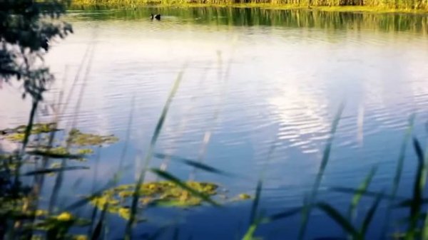 Ошо. РАЙ - ЭТО БЫТЬ САМИМ СОБОЙ.