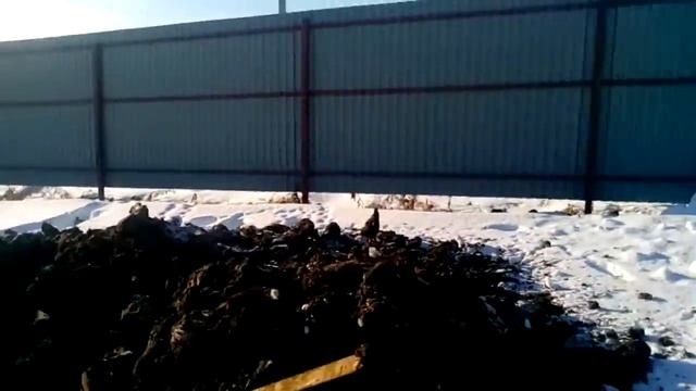Копка Колодцев в Московской облости смотреть онлайн