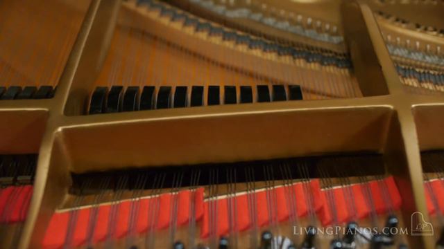 Steinway Model M Louis XV Grand Piano - Used Steinway Pianos for Sale смотреть онлайн