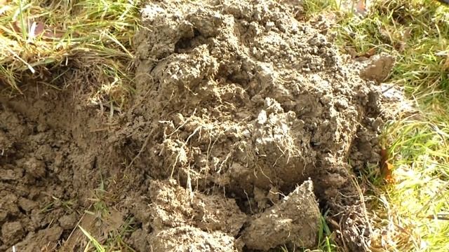 Back Metal Detecting on my EPIC Permission! смотреть онлайн