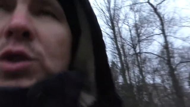 Срубили вековые деревья! смотреть онлайн