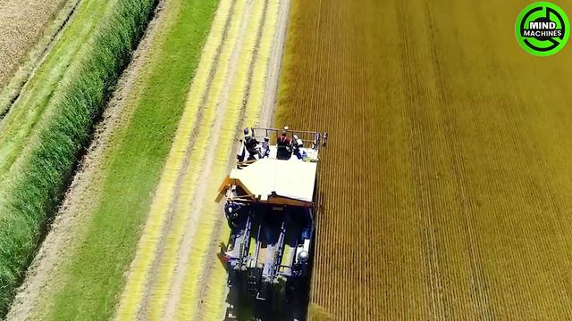 The Most Modern Agriculture Machines That Are At Another Level , How To Harvest Onions In Farm ▶8 смотреть онлайн