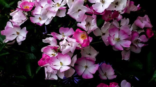 Слушать самую хорошую минусовку и фото 2015 год смотреть онлайн