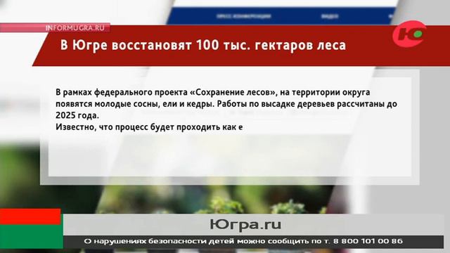 В Югре восстановят 100 тыс. гектаров леса смотреть онлайн