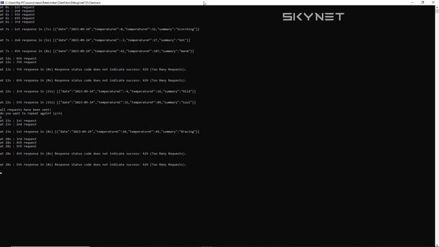 Rate Limiter in Asp.Net Core | Web Api | C# смотреть онлайн