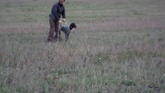 натаска лисы смотреть онлайн