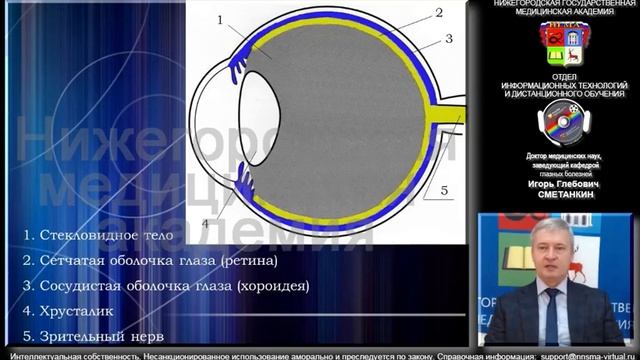 Отслойка сетчатки, патология стекловидного тела. Демо-версия смотреть онлайн