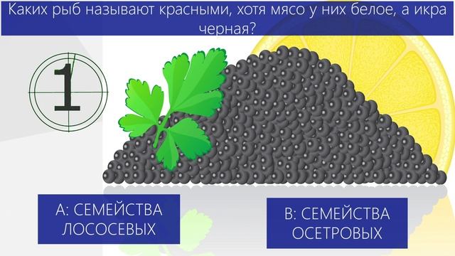 Рыбалка / тест для рыбаков / смотреть онлайн