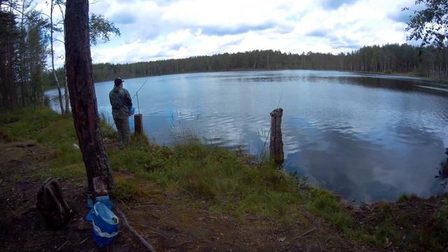 Несостоявшаяся рыбалка... ч. 2. смотреть онлайн