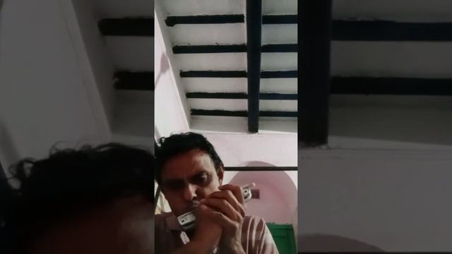 Bella Ciao смотреть онлайн