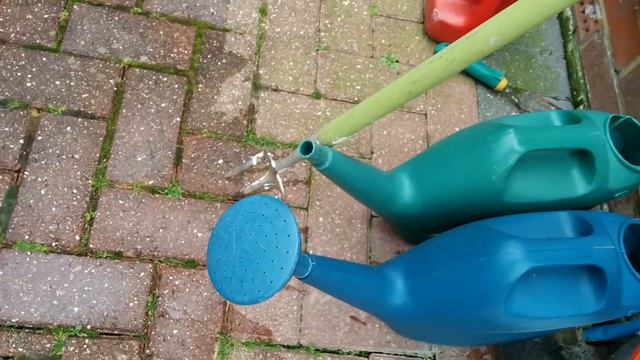 Doberman with wobbler's suddenly starts walking смотреть онлайн